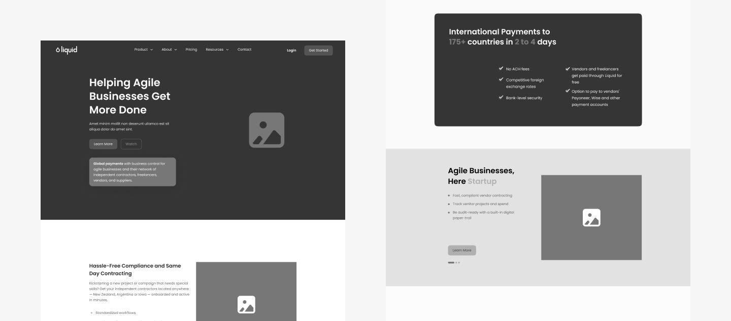 Project Pixelz Studio Introduction landing pages of Go Liquid Project 